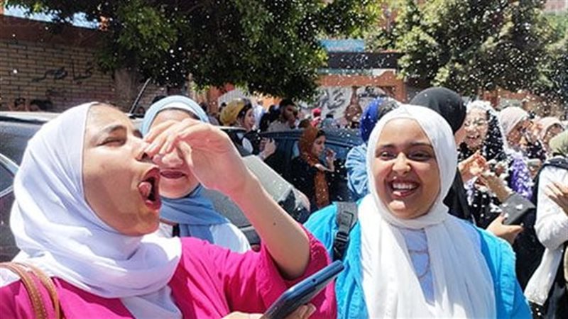 القارئ نيوز