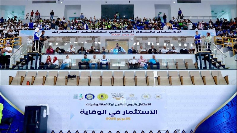 القارئ نيوز