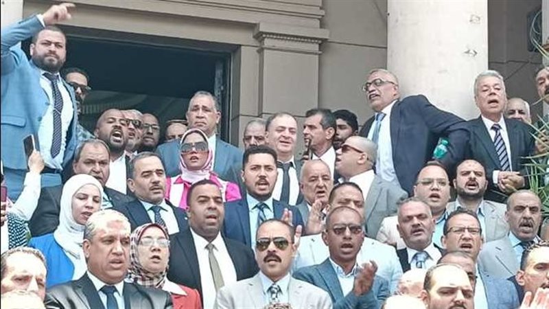 القارئ نيوز