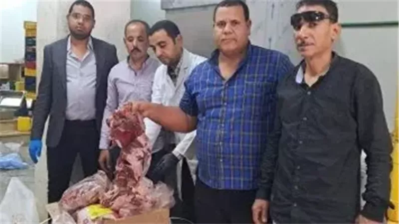 القارئ نيوز