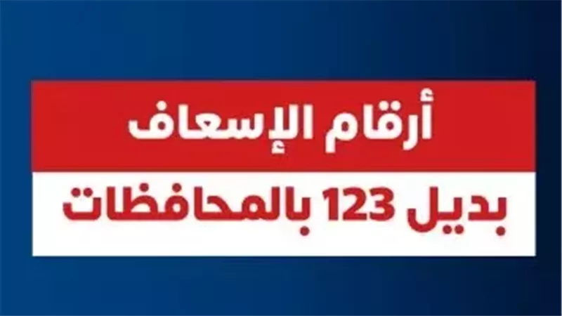 القارئ نيوز