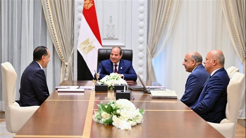 القارئ نيوز