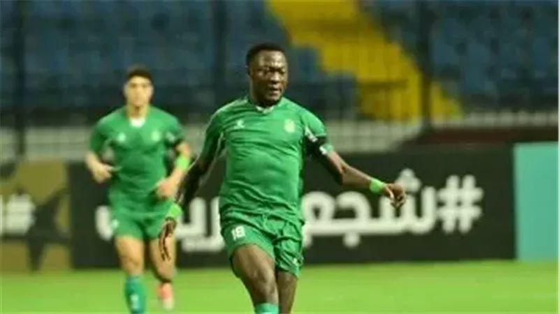 ساليفو