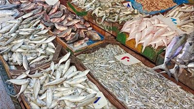 استقرار أسعار السمك في مصر اليوم الإثنين 4 أغسطس 2025