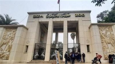 رسميًا.. افتتاح حديقة الحيوان بالجيزة يقترب وهذه أبرز ملامح التصميم بعد التطوير