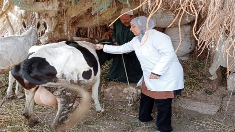 التحصين ضد الحمى