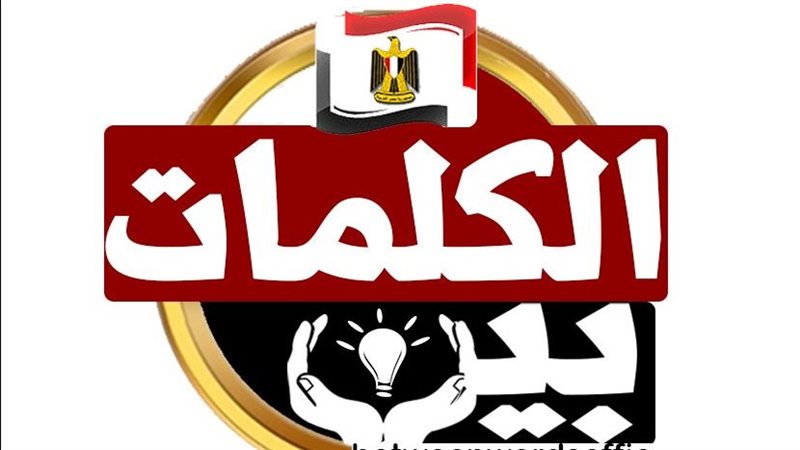 القارئ نيوز