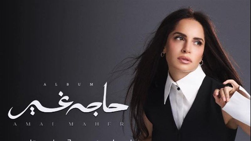 القارئ نيوز