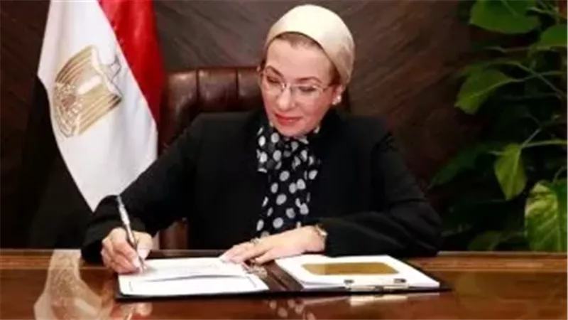 ياسمين فؤاد وزيرة