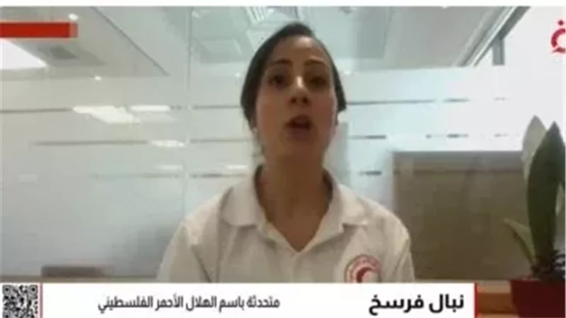 القارئ نيوز