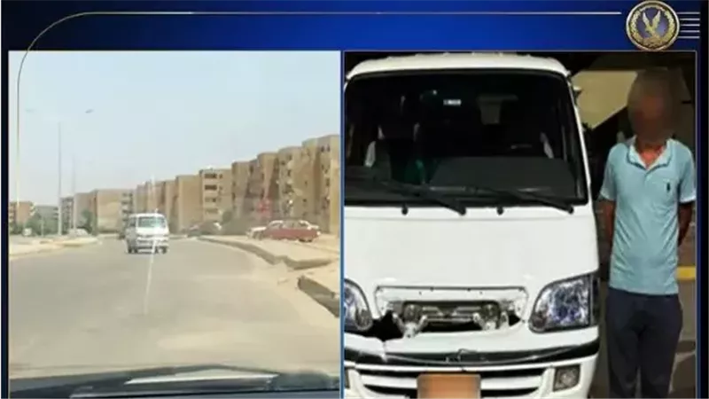 القارئ نيوز