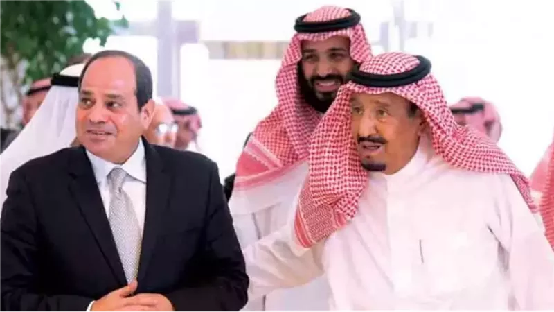 القارئ نيوز