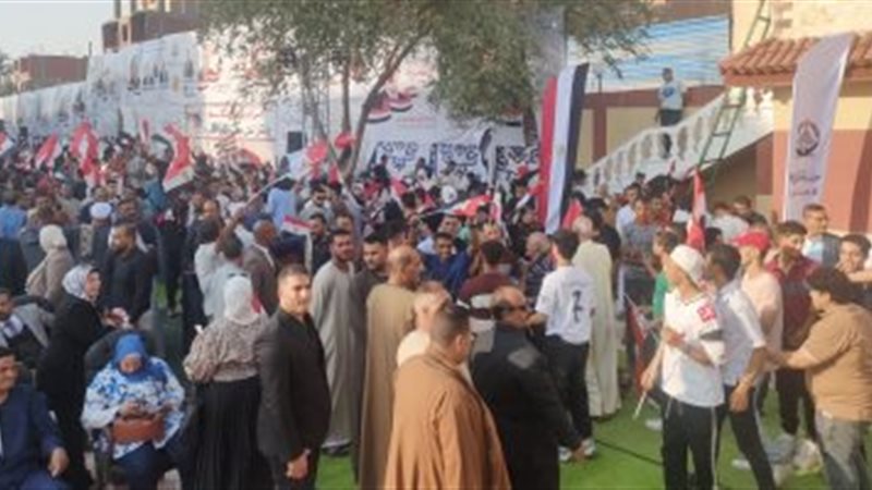 القارئ نيوز