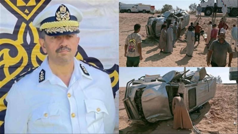 القارئ نيوز