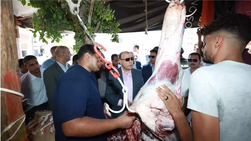 القارئ نيوز