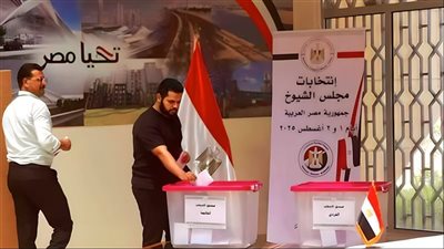 بدء الاقتراع بالخارج في انتخابات الشيوخ بـ127 مقرا بـ110 دولة