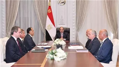 الرئيس السيسي يزف بشرى سارة للصحفيين.. صرف البدل النقدي المقترح