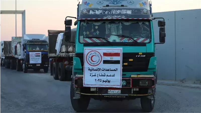 القارئ نيوز