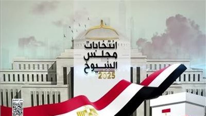 القارئ نيوز