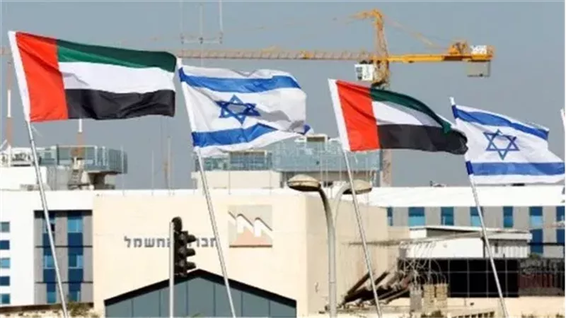 القارئ نيوز