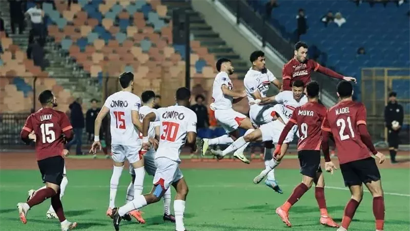 القارئ نيوز