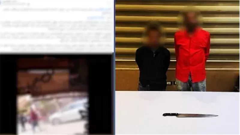 القارئ نيوز