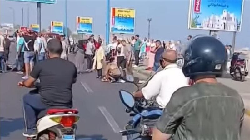 القارئ نيوز