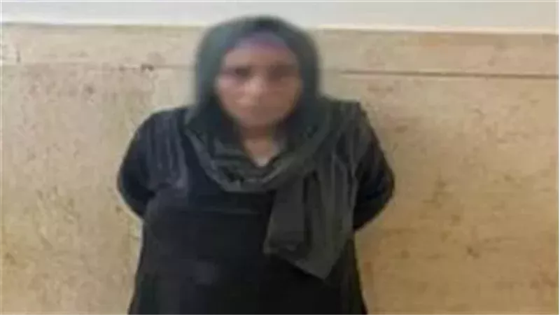 القارئ نيوز