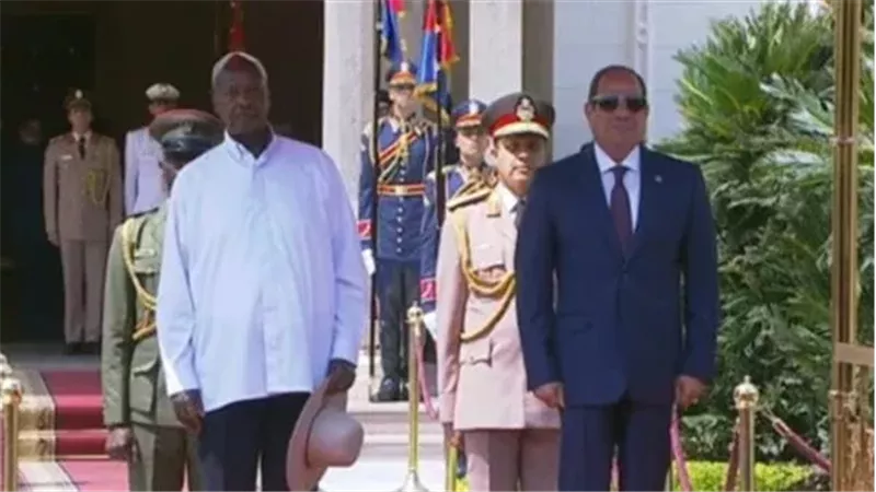 القارئ نيوز