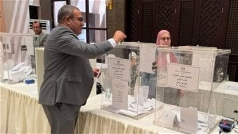 القارئ نيوز