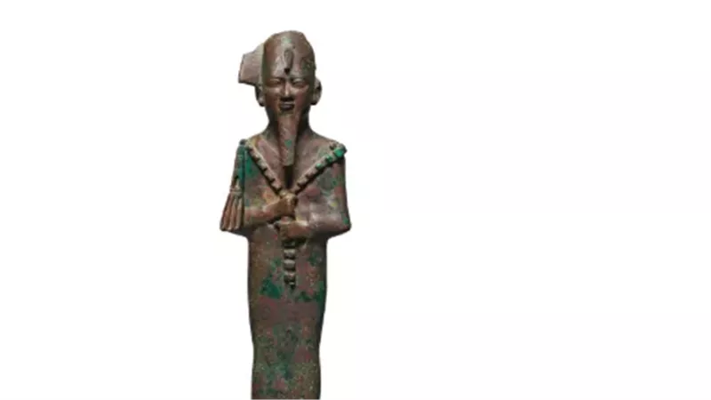القارئ نيوز