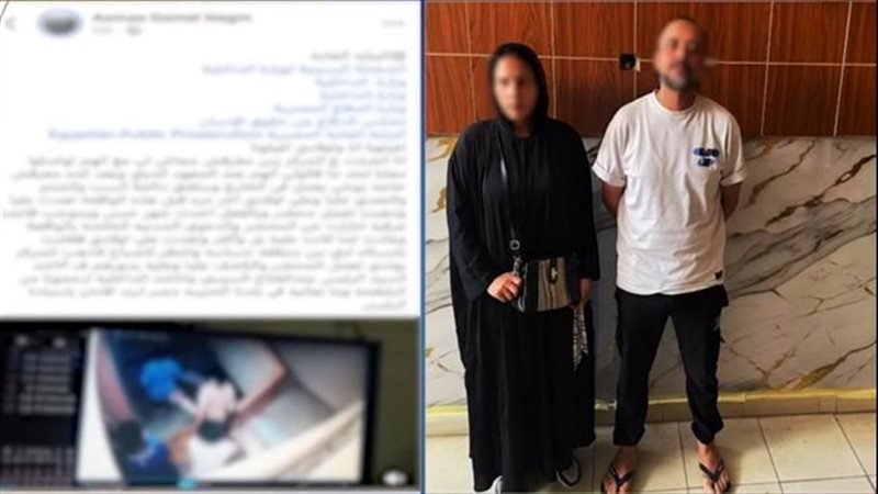 القارئ نيوز