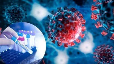 هيئة الدواء تحذر.. «فيروس نيمبوس» يثير القلق وهذه طرق الوقاية الأساسية 