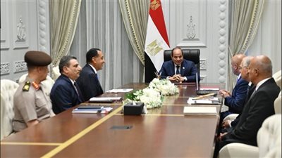 الرئيس السيسي يوجه باستكمال مشروعات الموانئ لتحقيق التكامل مع البنية التحتية العملاقة