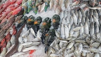  أسعار الأسماك والجمبري في الأسواق اليوم السبت 