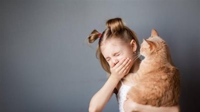 إذا كنت من محبي القطط.. خطوات سهلة لتقليل أعراض الحساسية المزعجة 