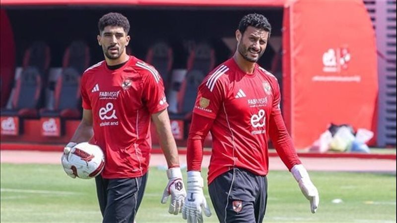 محمد الشناوي