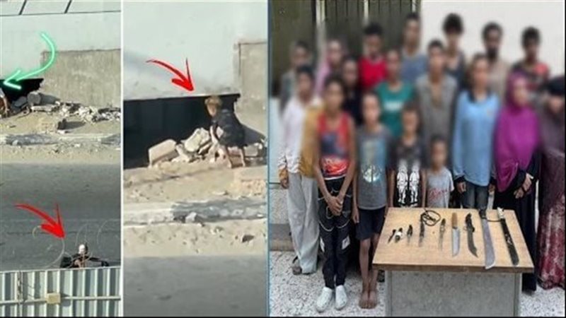 القارئ نيوز