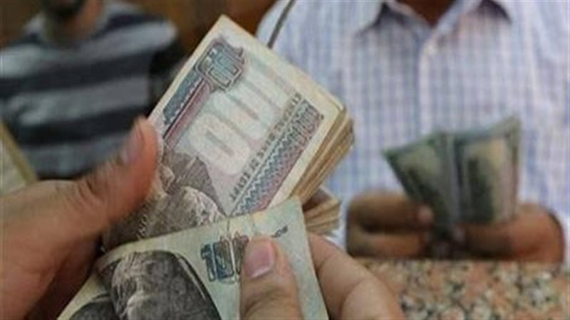 منحة المولد النبوي