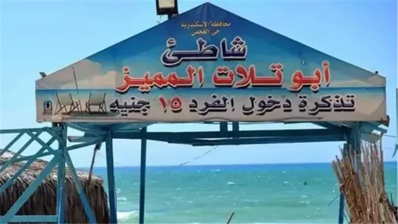 القارئ نيوز