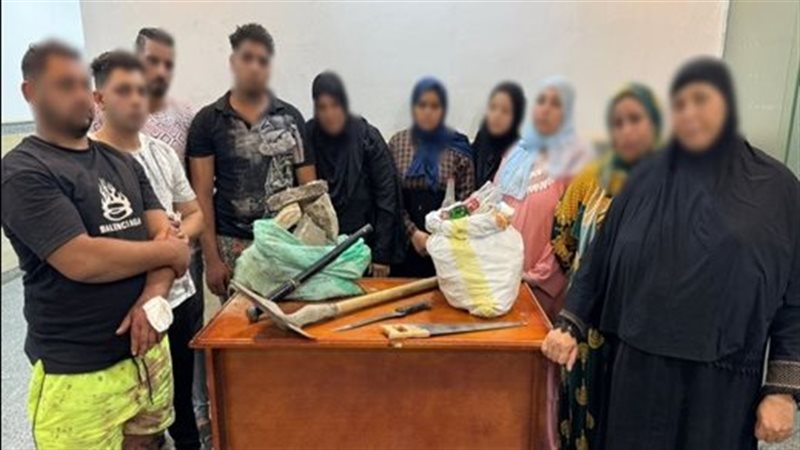 القارئ نيوز