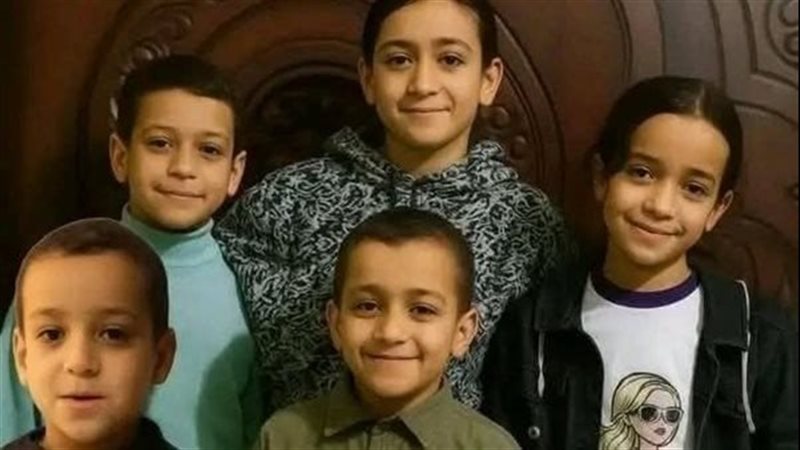 القارئ نيوز
