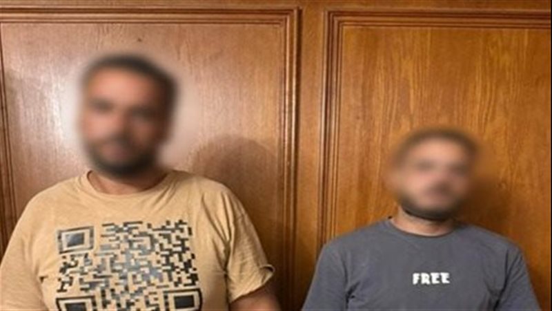 القارئ نيوز