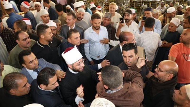 القارئ نيوز