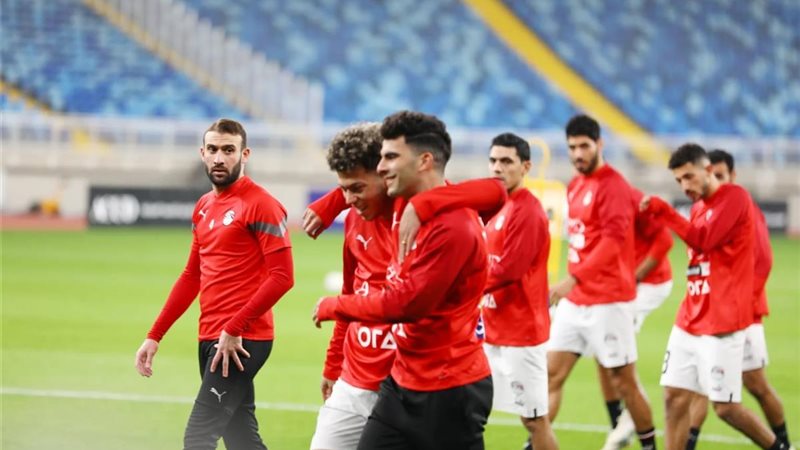 القارئ نيوز