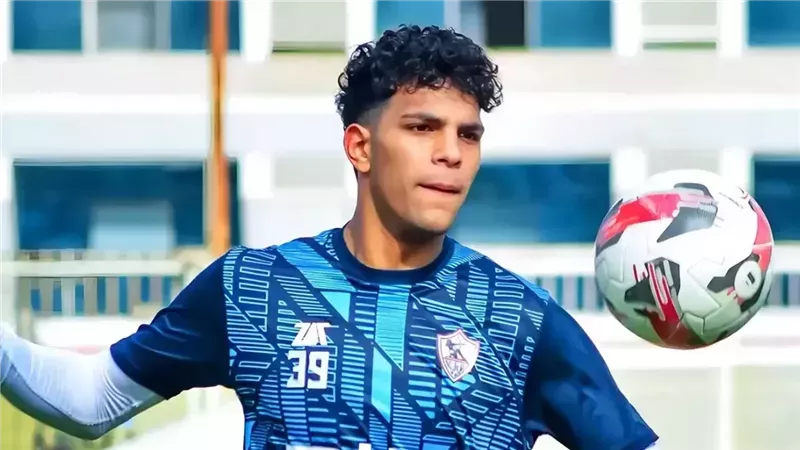 القارئ نيوز