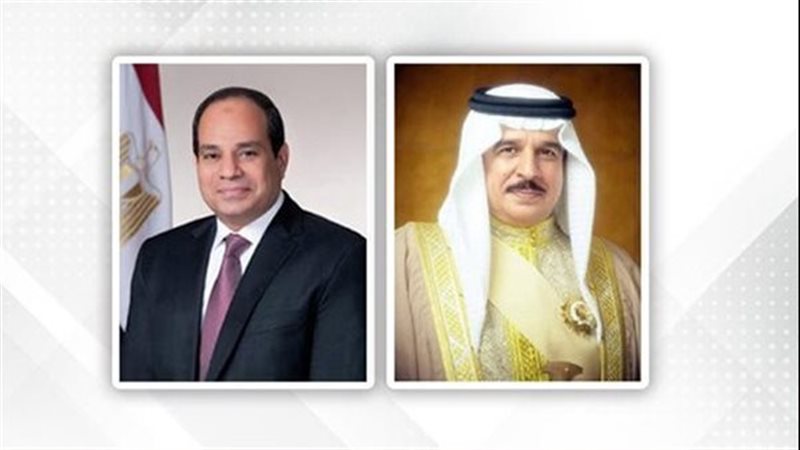 الرئيس السيسي -