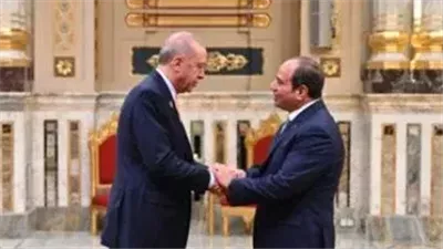 الرئيس السيسي وأردوغان يؤكدان حماية الشعب الفلسطيني فوراً