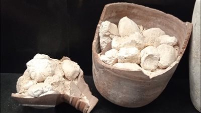 متحف إيمحتب يكشف أسرار جبن القريش القديم