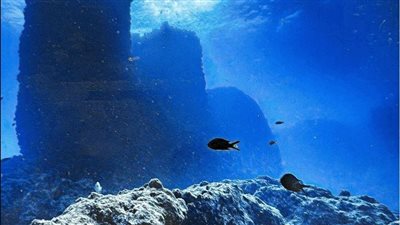 اكتشاف ميناء مغمور مرتبط بمعبد «تابوزيريس ماجنا» بالإسكندرية